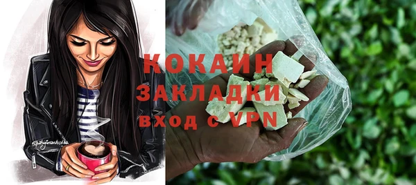 твердый Абаза