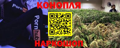 эйфоретик Кунгур