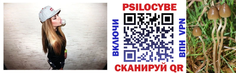 MEGA рабочий сайт  Кимовск  Псилоцибиновые грибы мицелий  как найти закладки 