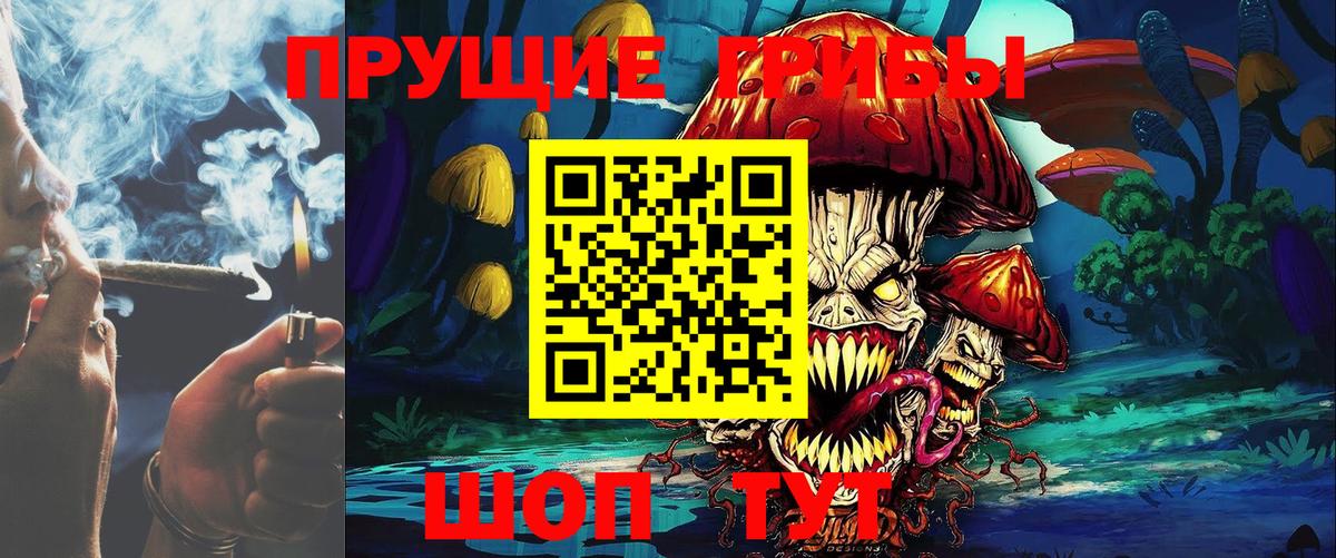 Псилоцибиновые грибы Psilocybine cubensis  Вход с VPN  Кимовск  Псилоцибиновые грибы мухоморы 