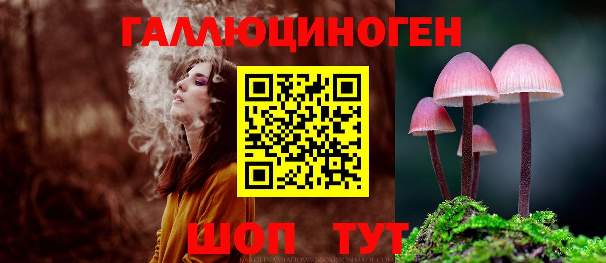 Псилоцибиновые грибы мицелий Кимовск