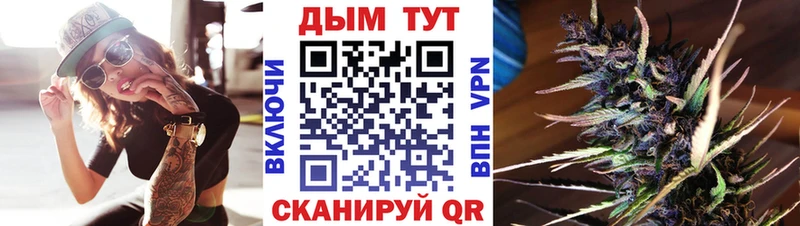 OMG ONION  Кимовск  Марихуана сатива 